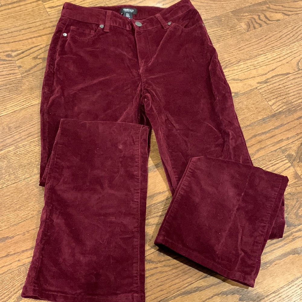 Jones & Co Velvetlike Maroon Jeans